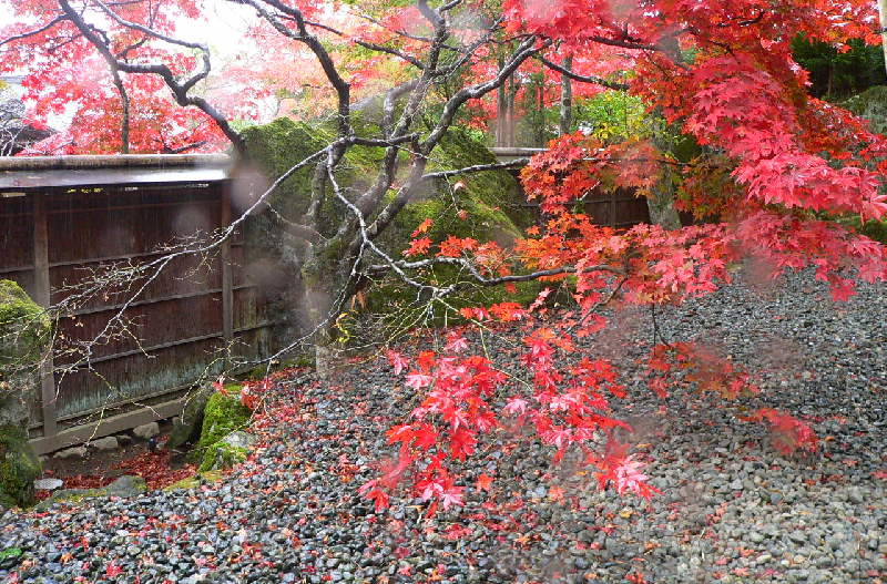 ���낢��t�H�g