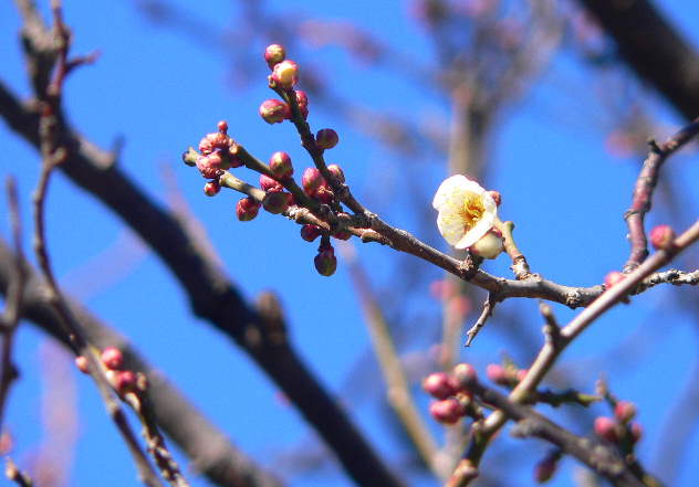 ���낢��t�H�g