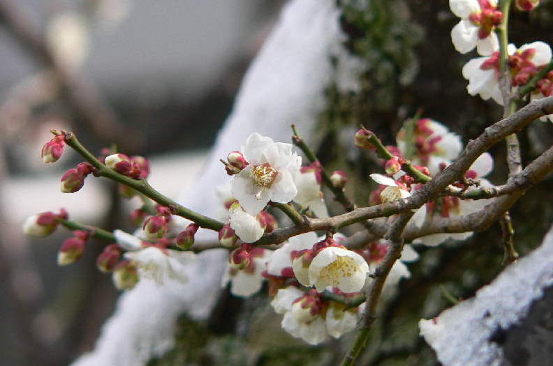 ���낢��t�H�g