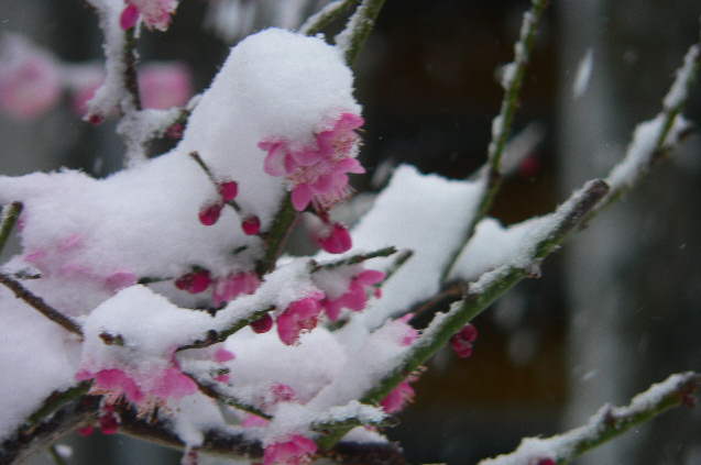 ���낢��t�H�g