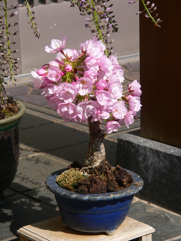 ���낢��t�H�g