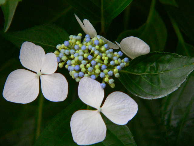 ���낢��t�H�g