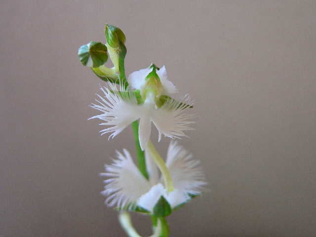 ���낢��t�H�g