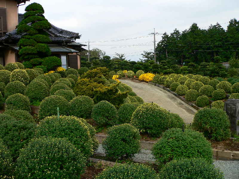 ���낢��t�H�g