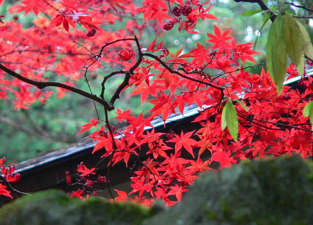 ���낢��t�H�g