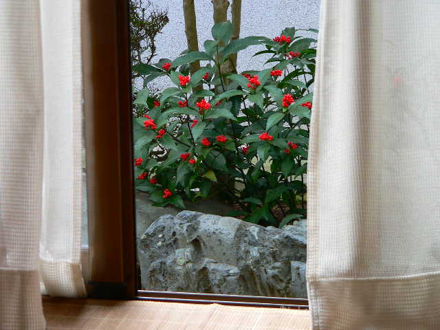 ���낢��t�H�g