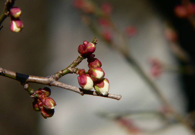 ���낢��t�H�g