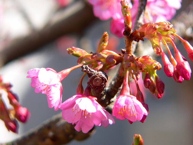 ���낢��t�H�g