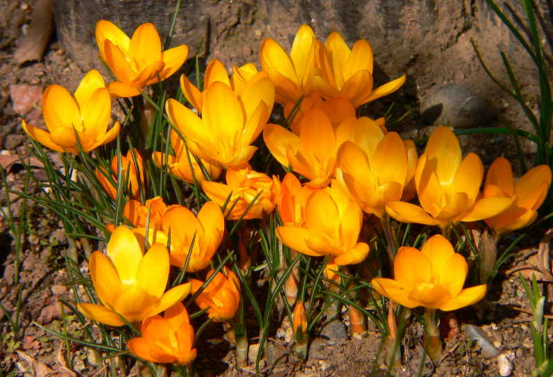 ���낢��t�H�g