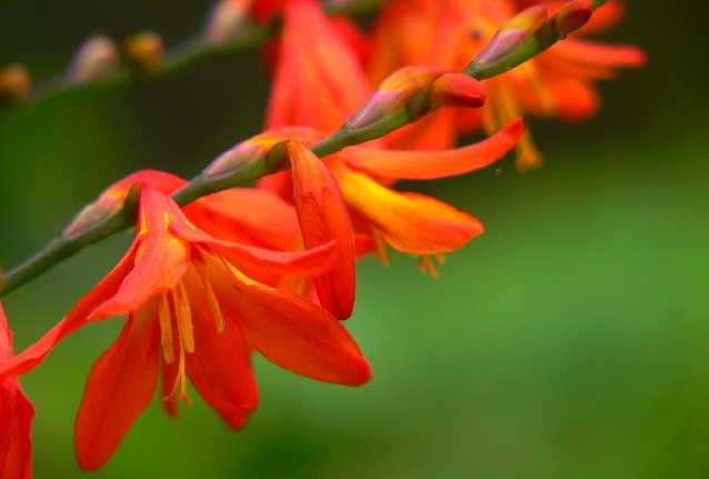 ���낢��t�H�g