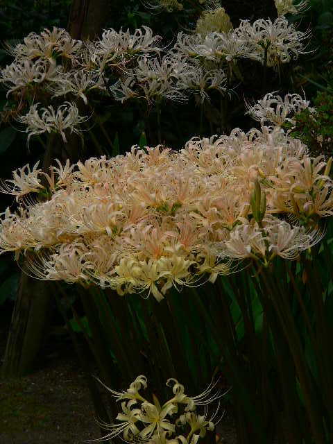 ���낢��t�H�g