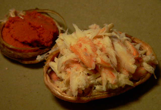 ���낢��t�H�g