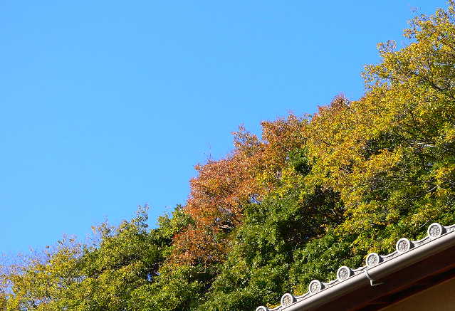 ���낢��t�H�g