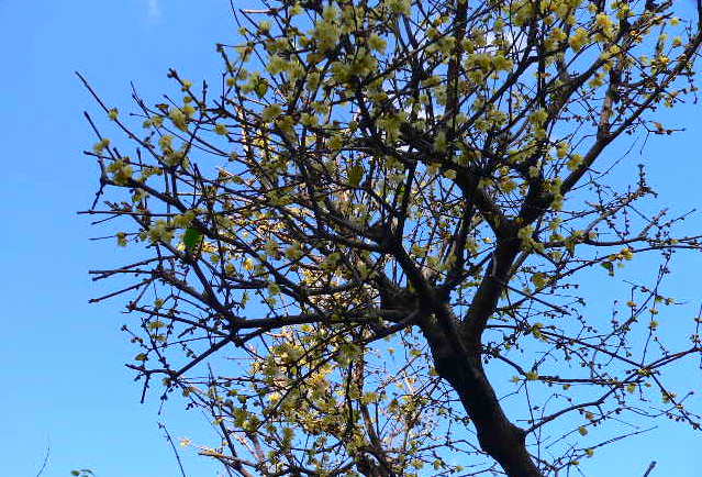 ���낢��t�H�g