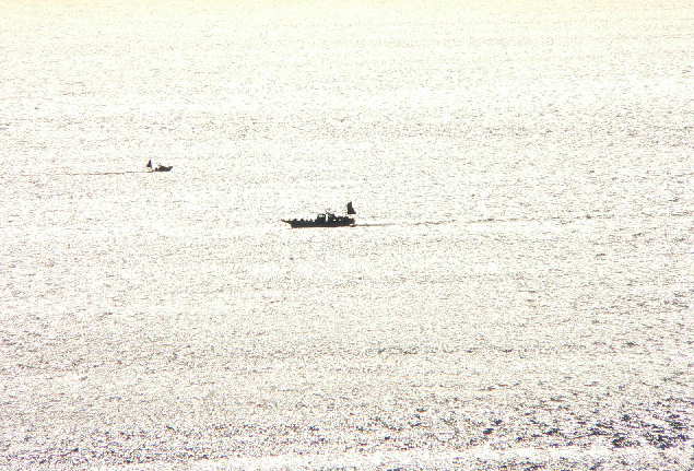 ���낢��t�H�g