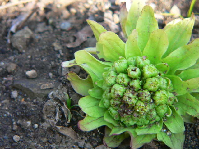 ���낢��t�H�g