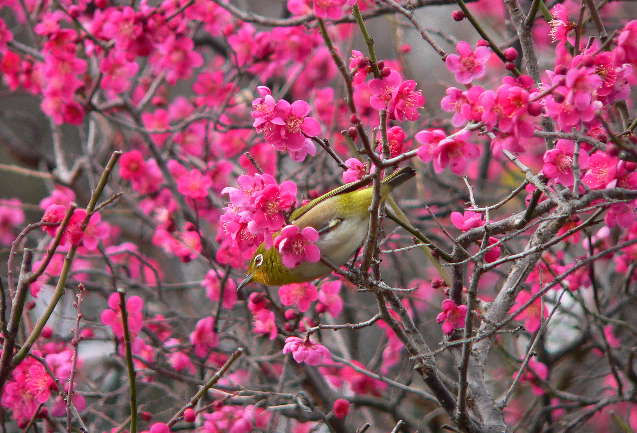 ���낢��t�H�g