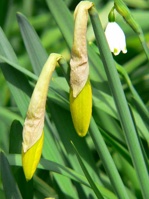 ���낢��t�H�g