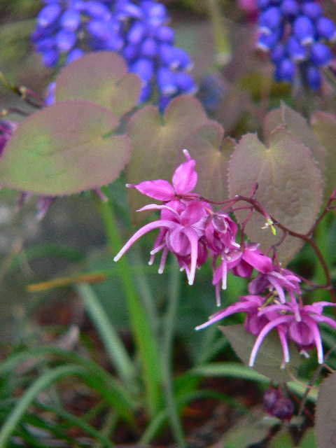 ���낢��t�H�g