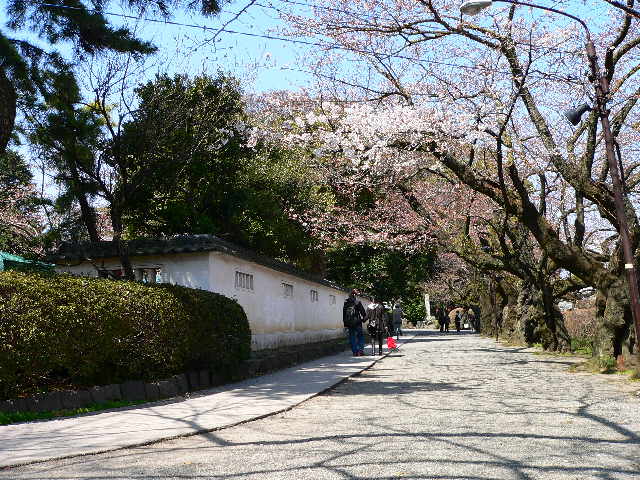 ���낢��t�H�g