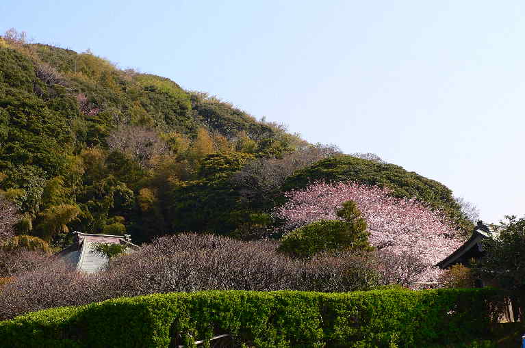 ���낢��t�H�g