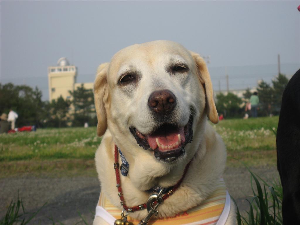 �ڂ���Rick�ƕی�L3�C