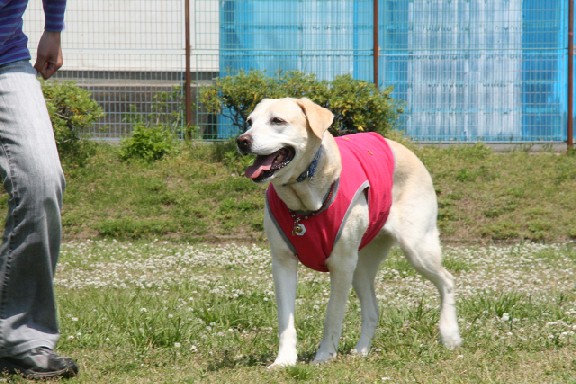 �ڂ���Rick�ƕی�L3�C