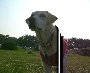 �ڂ���Rick�ƕی�L3�C