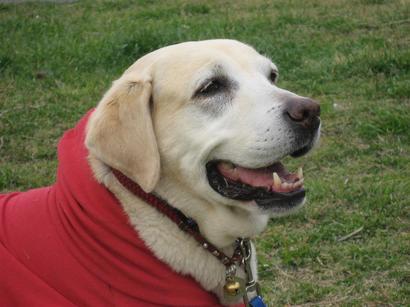 �ڂ���Rick�ƕی�L3�C