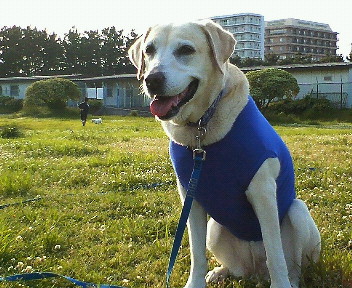 �ڂ���Rick�ƕی�L3�C