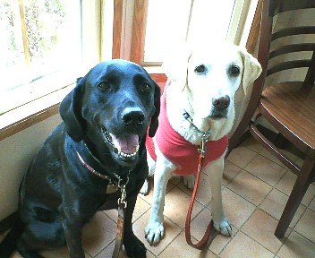 �ڂ���Rick�ƕی�L3�C