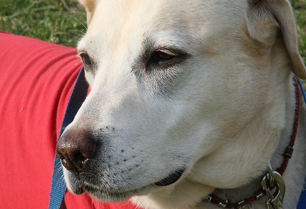 �ی쌢���umix��HAL�ƃS�[���f����Rick