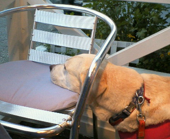 �ی쌢���umix��HAL�ƃS�[���f����Rick