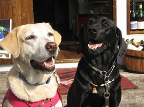 �ی쌢���umix��HAL�ƃS�[���f����Rick