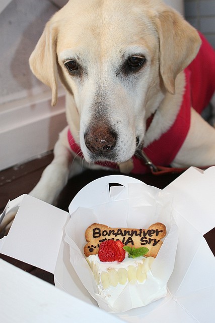 �ی쌢���umix��HAL�ƃS�[���f����Rick