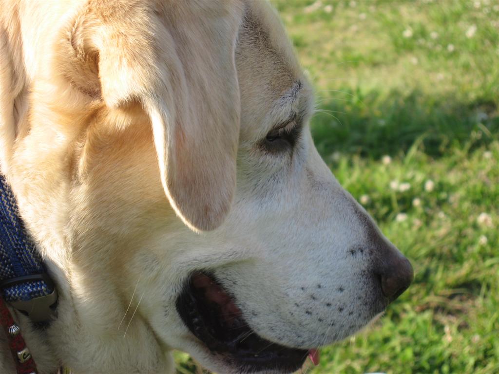 �ی쌢���umix��HAL�ƃS�[���f����Rick