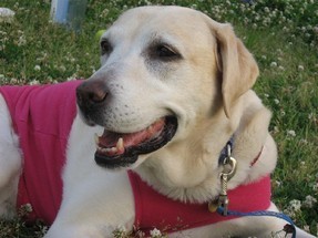 �ی쌢���umix��HAL�ƃS�[���f����Rick