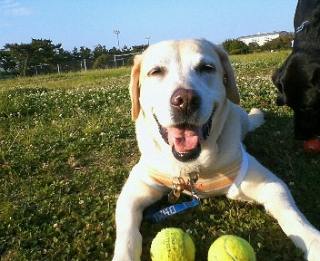 �ی쌢���umix��HAL�ƃS�[���f����Rick