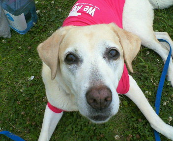 �ی쌢���umix��HAL�ƃS�[���f����Rick