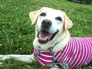 �ی쌢���umix��HAL�ƃS�[���f����Rick