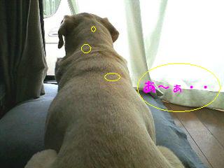 �ی쌢���umix��HAL�ƃS�[���f����Rick