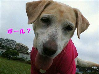 �ی쌢���umix��HAL�ƃS�[���f����Rick