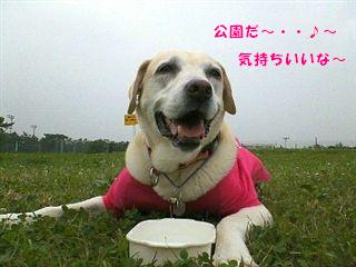 �ی쌢���umix��HAL�ƃS�[���f����Rick