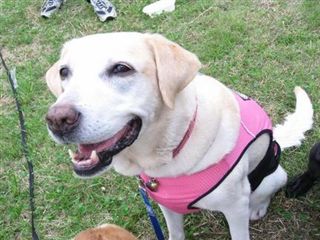 �ی쌢���umix��HAL�ƃS�[���f����Rick