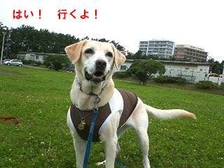 �ی쌢���umix��HAL�ƃS�[���f����Rick