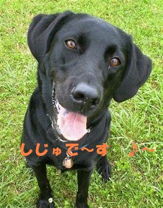 �ی쌢���umix��HAL�ƃS�[���f����Rick