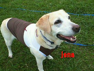 �ی쌢���umix��HAL�ƃS�[���f����Rick