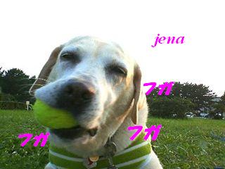 �ی쌢���umix��HAL�ƃS�[���f����Rick