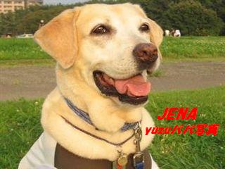 �ی쌢���umix��HAL�ƃS�[���f����Rick