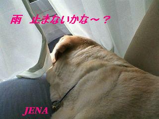 �ی쌢���umix��HAL�ƃS�[���f����Rick